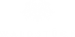 Waldstück
